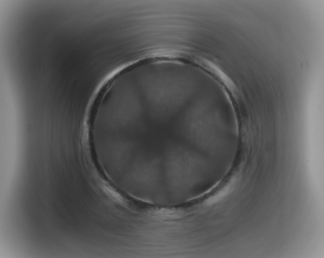 X0000116000779200911251059