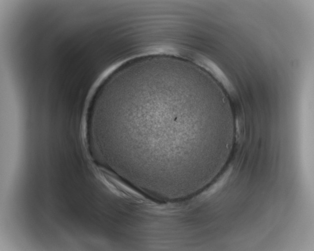 X0000116000780200911251059