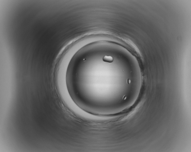 X0000116000781200911251059