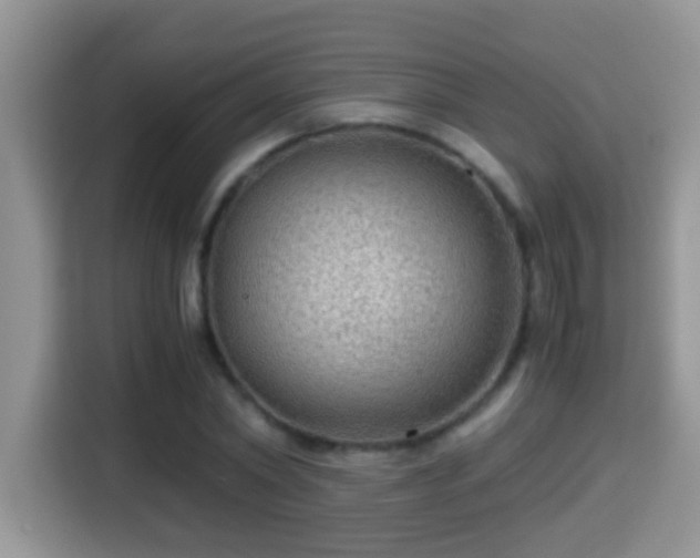 X0000116000782200911251059