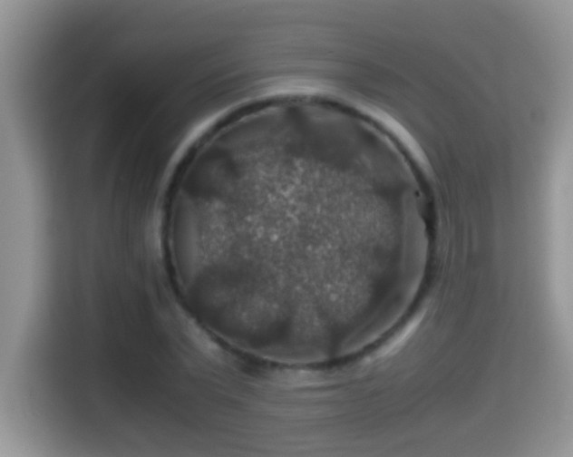 X0000116000783200911251059