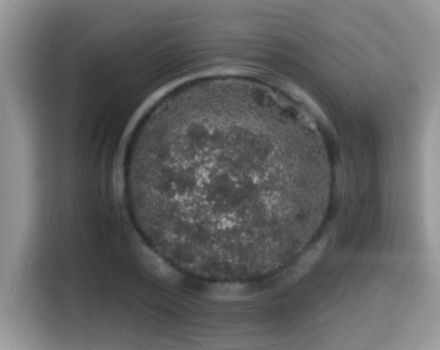 X0000116000784200911251059