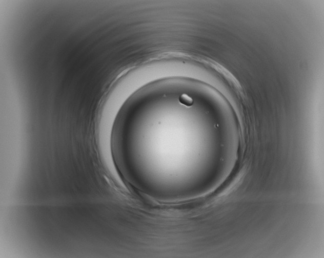 X0000116000785200911251059