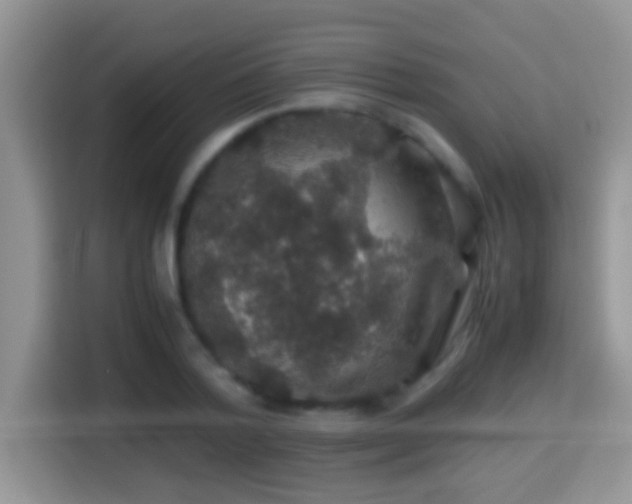 X0000116000788200911251059