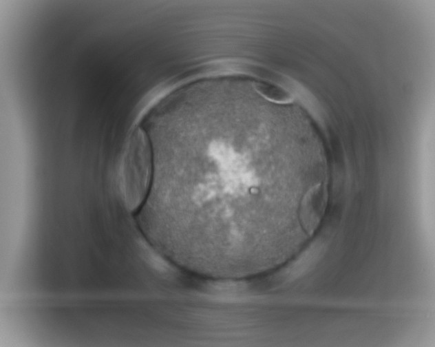 X0000116000789200911251059