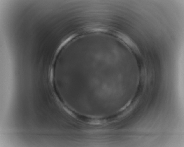 X0000116000790200911251059