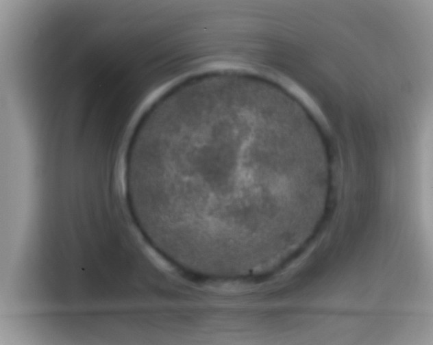 X0000116000791200911251059