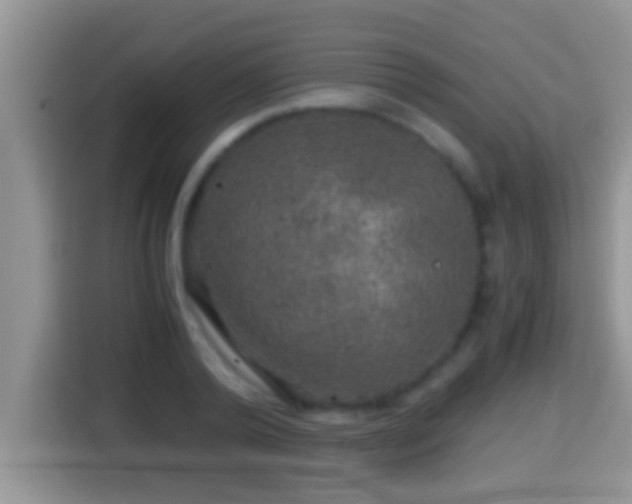 X0000116000792200911251059