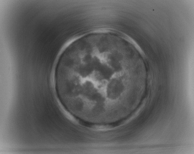 X0000116000795200911251059