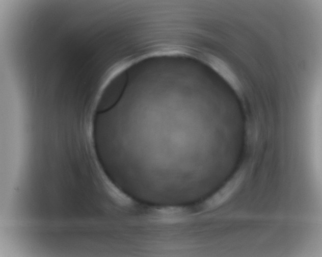 X0000116000797200911251059