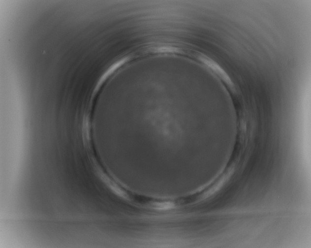 X0000116000798200911251059