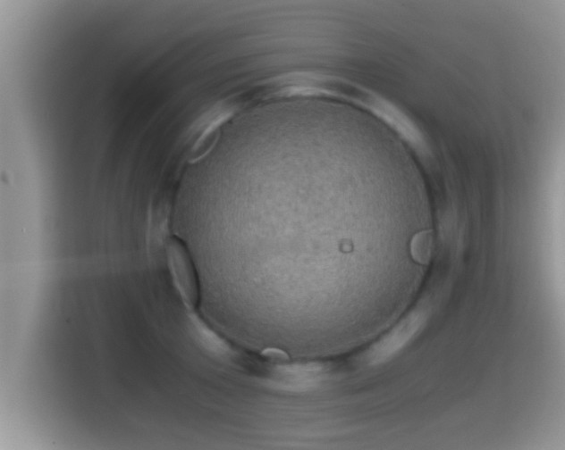 X0000116000801200911251059