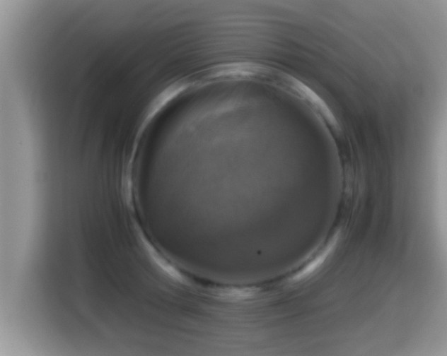 X0000116000802200911251059