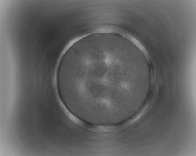 X0000116000803200911251059