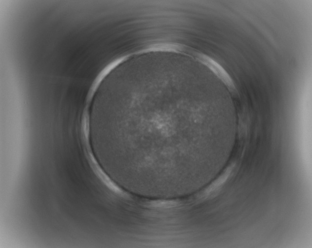 X0000116000804200911251059