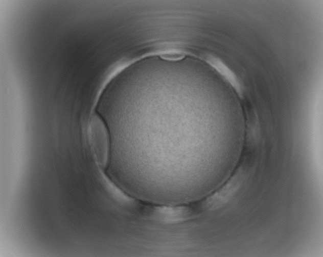 X0000116000805200911251059