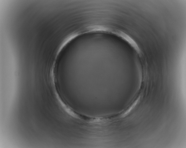 X0000116000806200911251059