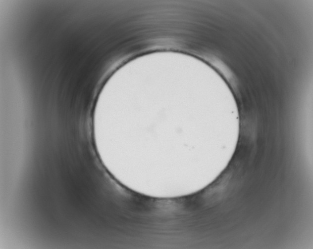 X0000116000807200911251059