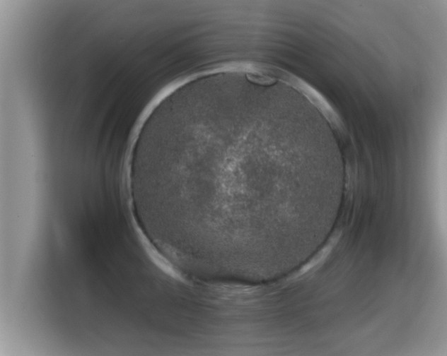 X0000116000808200911251059