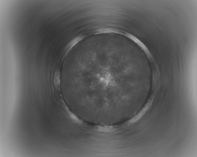 X0000116000809200911251059