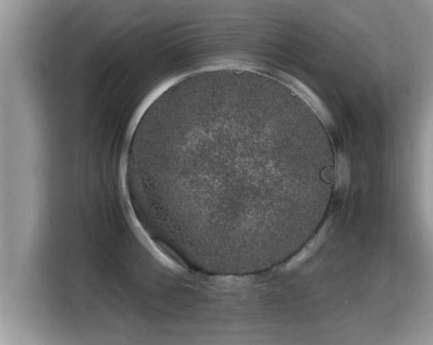 X0000116000812200911251059