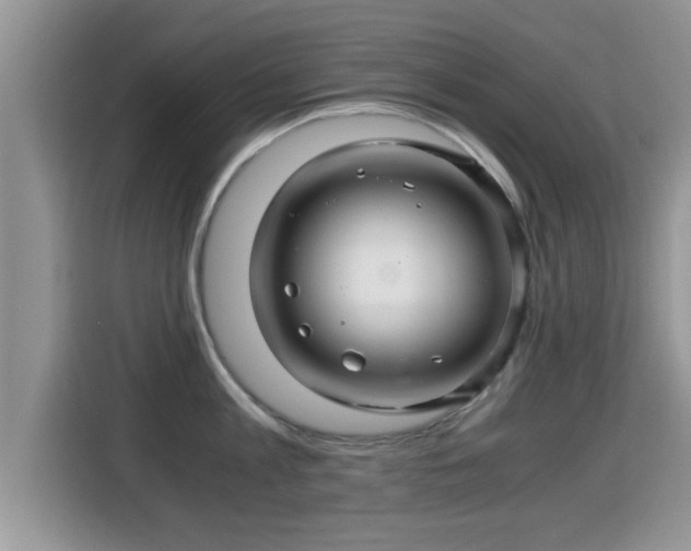 X0000116000813200911251059