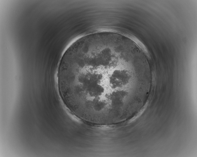 X0000116000814200911251059