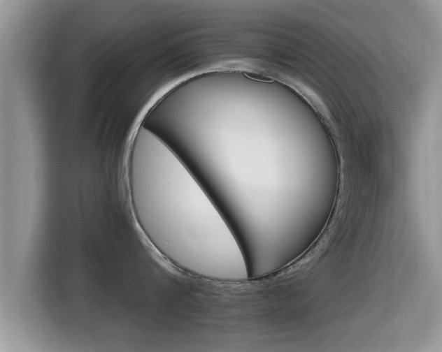 X0000116000816200911251059