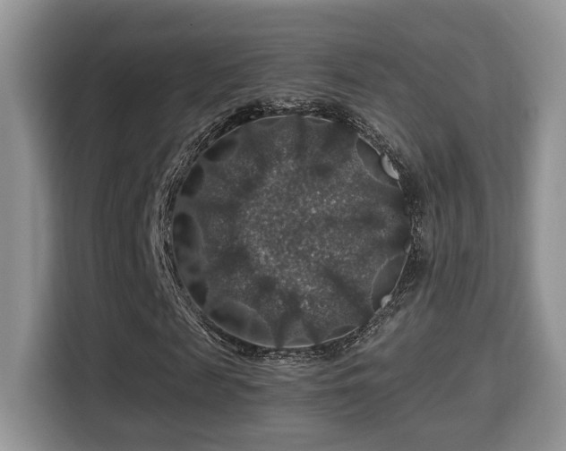 X0000116000817200911251058