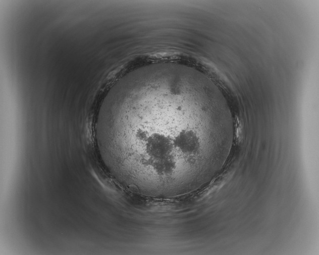 X0000116000819200911251058