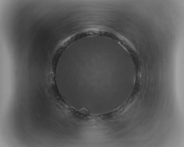 X0000116000822200911251058