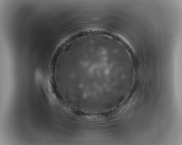 X0000116000823200911251058