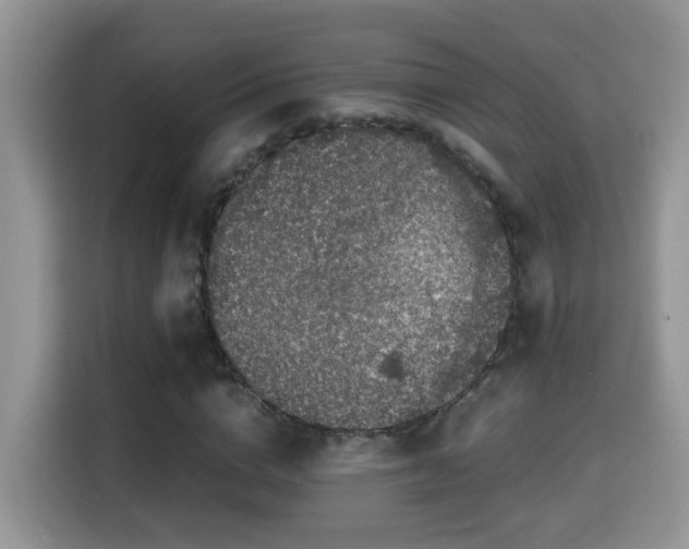 X0000116000824200911251058