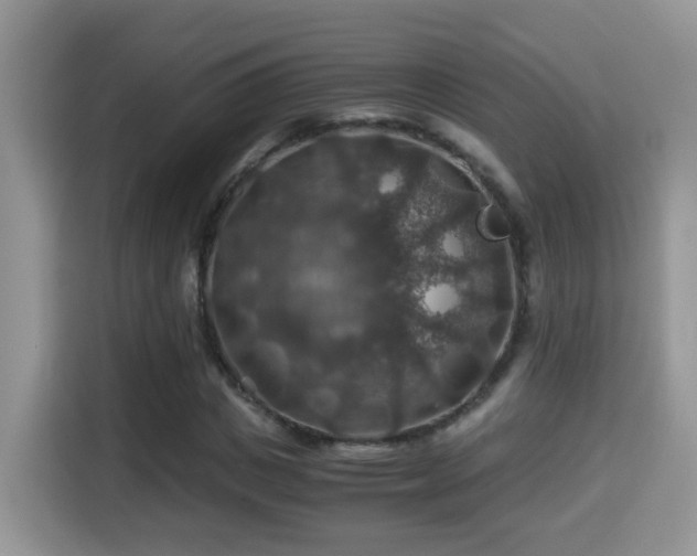 X0000116000825200911251058