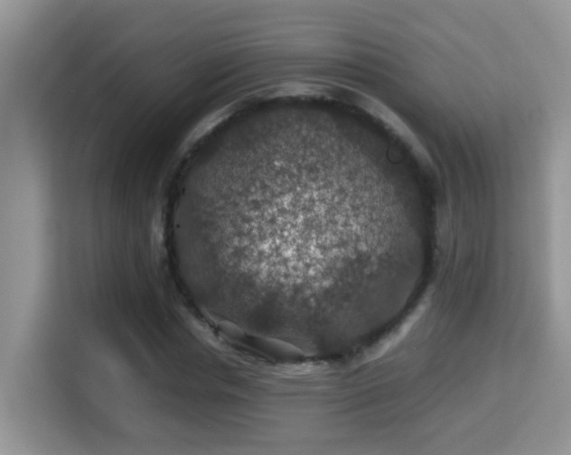 X0000116000826200911251058