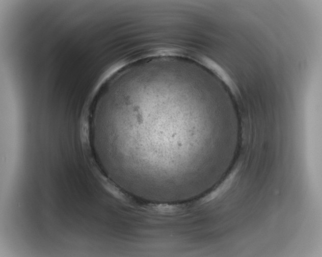 X0000116000827200911251058