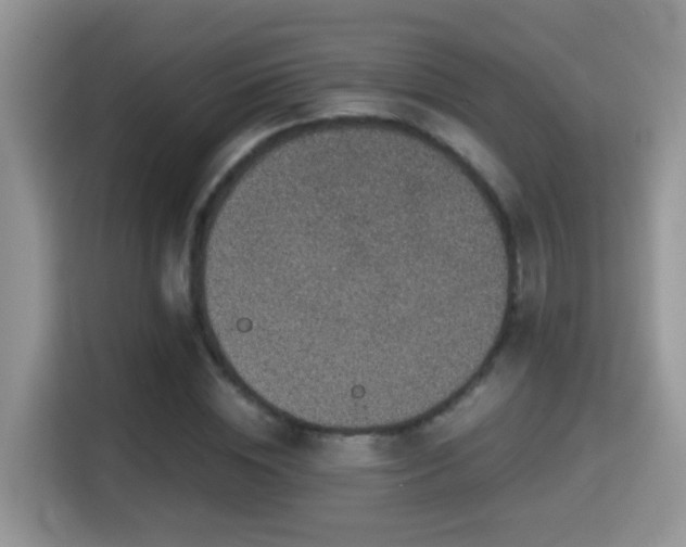 X0000116000828200911251058