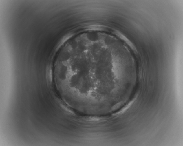 X0000116000829200911251058