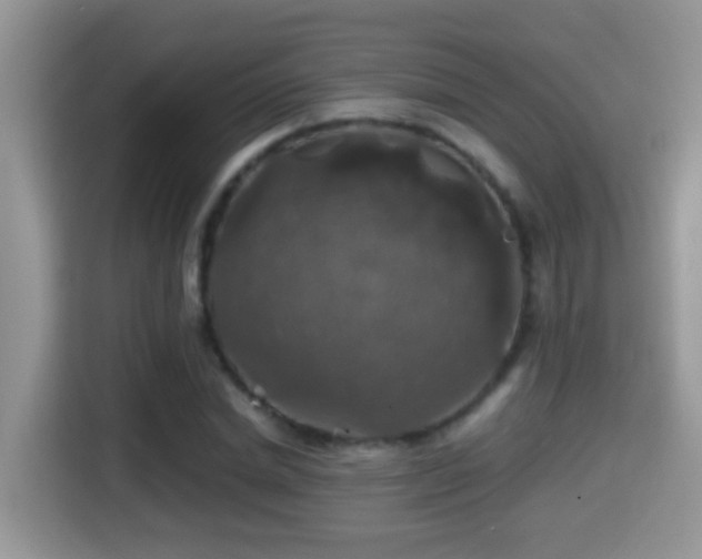 X0000116000830200911251058