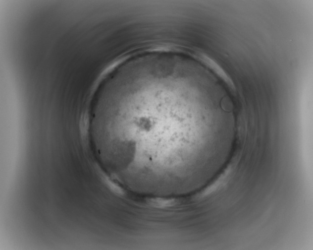 X0000116000831200911251058