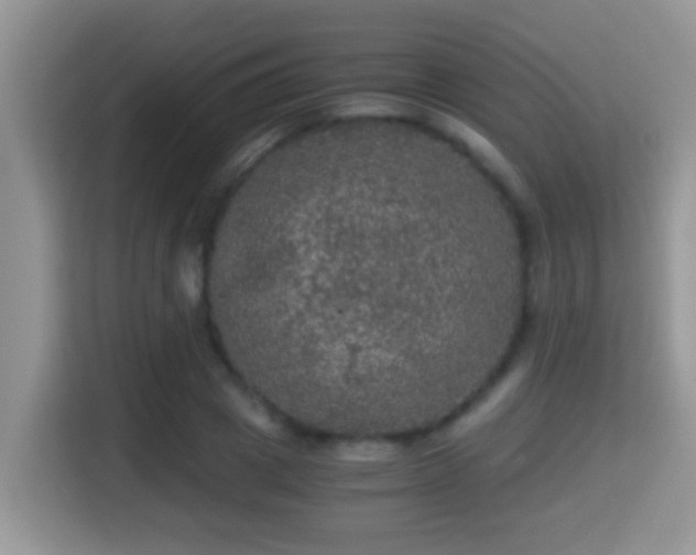 X0000116000833200911251058