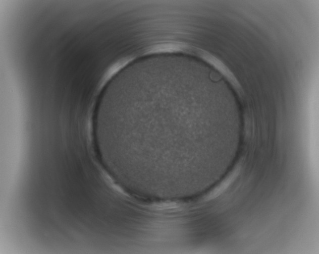 X0000116000834200911251058