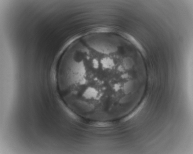 X0000116000835200911251058