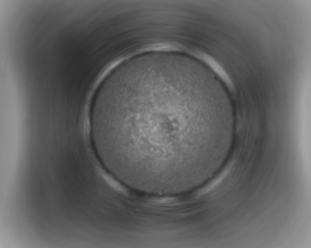 X0000116000837200911251058