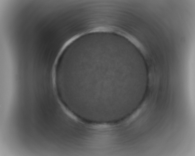 X0000116000838200911251058