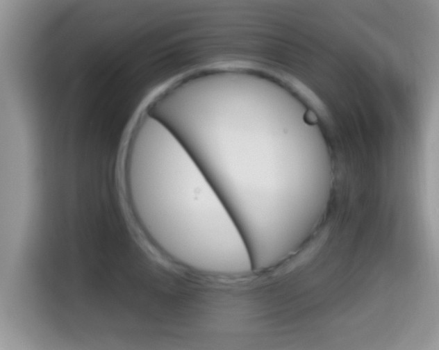 X0000116000840200911251058