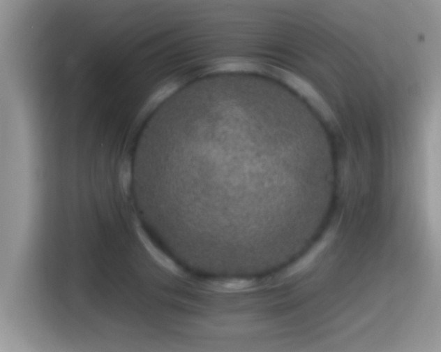 X0000116000841200911251058