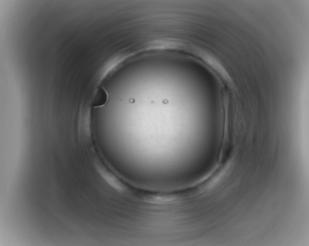 X0000116000842200911251058