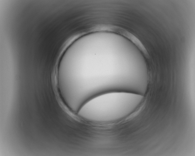 X0000116000844200911251058