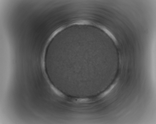 X0000116000845200911251058